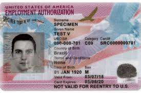 image of a employment authorization card
    example