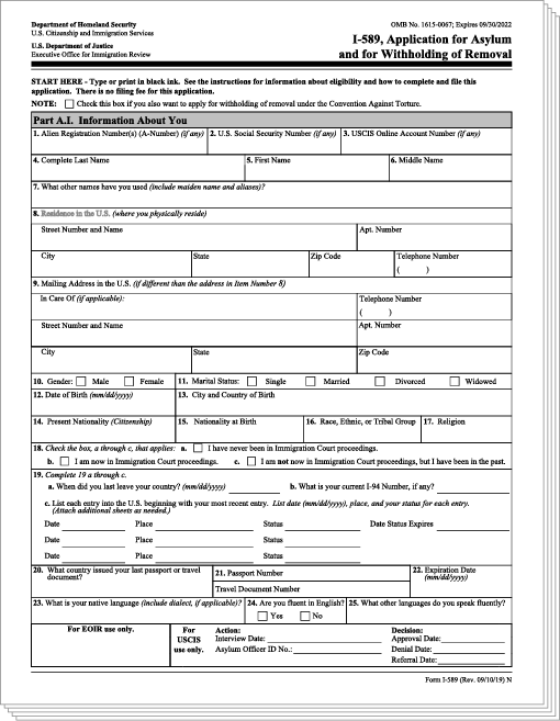 Online software access for you to complete your US immigration application