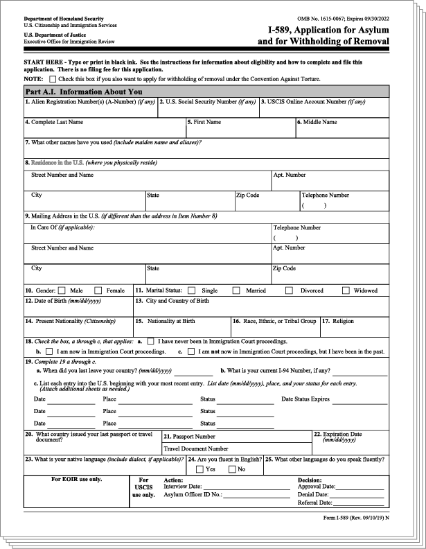 Online software access for you to complete your US immigration application
